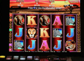 im电竞APP下载正式版