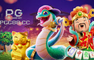 im电竞APP下载2024最新版